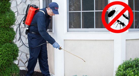 Villakent Bit İlaçlama böcek ilaçlama ve haşere kontrolü — ilaclama-tr.com